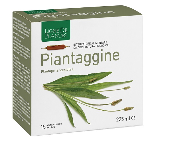 PIANTAGGINE 15 AMPOLLE BEVIBILI 15 ML - Farmacia Murachelli Di Putelli dr. Giovanni