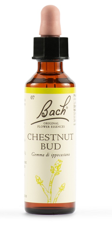 CHESTNUT BUD BACH ORIG 20 ML - Farmacia Murachelli Di Putelli dr. Giovanni