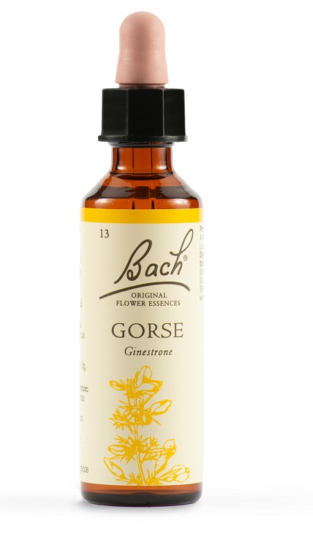 GORSE BACH ORIG 20 ML - Farmacia Murachelli Di Putelli dr. Giovanni