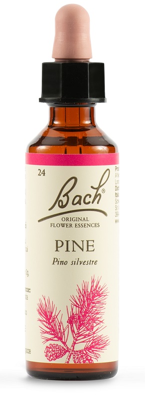 PINE BACH ORIG 20 ML - Farmacia Murachelli Di Putelli dr. Giovanni
