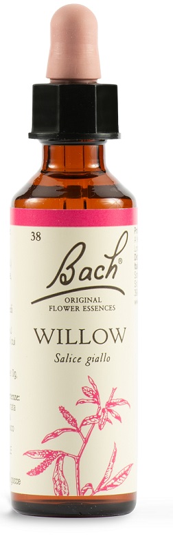 WILLOW BACH ORIG 20 ML - Farmacia Murachelli Di Putelli dr. Giovanni