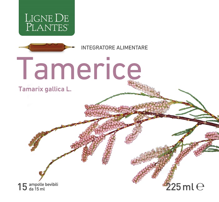 TAMERICE 15 AMPOLLE 15 ML - Farmacia Murachelli Di Putelli dr. Giovanni