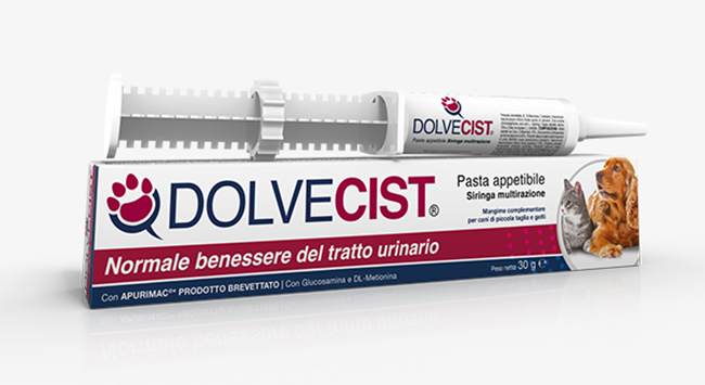 DOLVECIST PASTA SIRINGA 30 G - Farmacia Murachelli Di Putelli dr. Giovanni