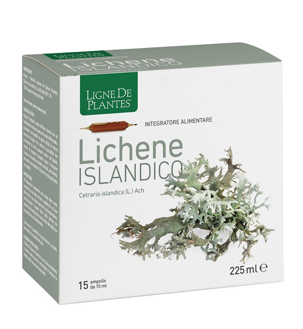 LIGNE DE PLANTES LICHENE ISLANDICO 15 AMPOLLE X 15 ML - Farmacia Murachelli Di Putelli dr. Giovanni