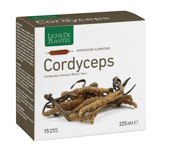 CORDYCEPS 15 AMPOLLE BEVIBILI DA 15 ML - Farmacia Murachelli Di Putelli dr. Giovanni