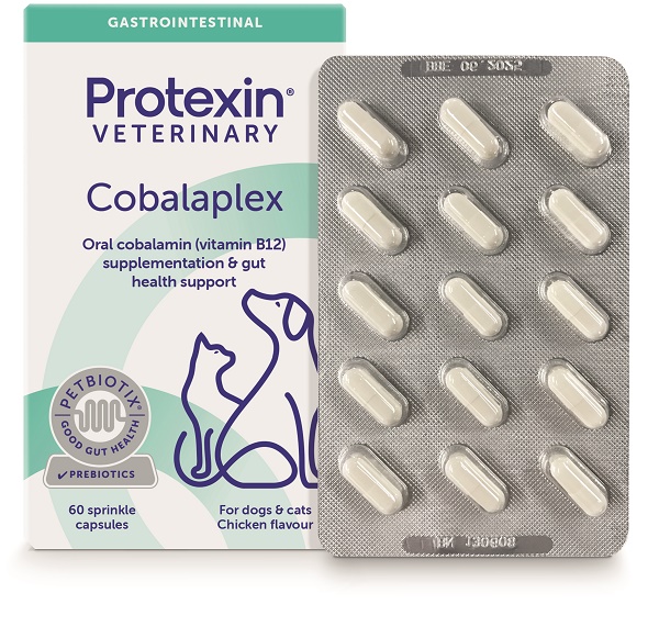 COBALAPLEX 60 CAPSULE - Farmacia Murachelli Di Putelli dr. Giovanni