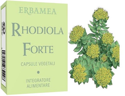 RHODIOLA FORTE 24 CAPSULE - Farmacia Murachelli Di Putelli dr. Giovanni