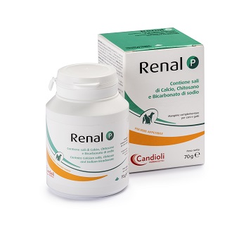RENAL P MANGIME COMPLEMENTARE PER CANI E GATTI BARATTOLO 70 G - Farmacia Murachelli Di Putelli dr. Giovanni