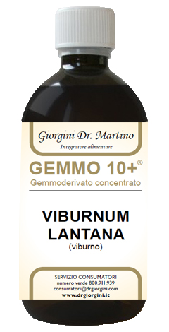 VIBURNO LIQUIDO ANALCOLICO GEMMO 10+ 500 ML - Farmacia Murachelli Di Putelli dr. Giovanni
