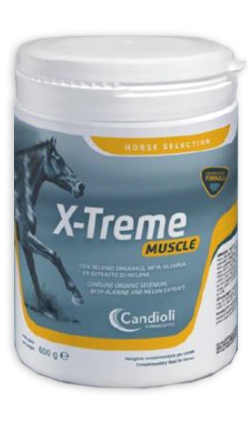 X-TREME MUSCLE BARATTOLO 600 G - Farmacia Murachelli Di Putelli dr. Giovanni