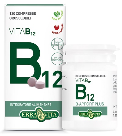 B APPORT VITAMINA B12 120 COMPRESSE OROSOLUBILI - Farmacia Murachelli Di Putelli dr. Giovanni