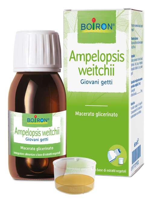 AMPELOPSIS WESTRATTO IDROALCOLICO BOIRON MACERATO GLICERICO 60 ML - Farmacia Murachelli Di Putelli dr. Giovanni