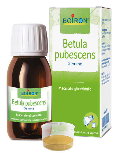 BETULA PUBESC BOIRON MACERATO GLICERICO 60 ML - Farmacia Murachelli Di Putelli dr. Giovanni