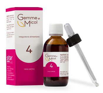 GEMME DI MICOL 4 30 ML - Farmacia Murachelli Di Putelli dr. Giovanni