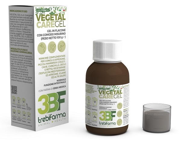 VEGETAL CARE GEL FLACONE 100 G - Farmacia Murachelli Di Putelli dr. Giovanni