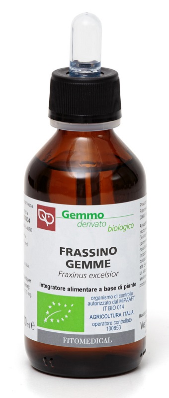 FRASSINO MACERATO GLICERICO 100 ML BIO - Farmacia Murachelli Di Putelli dr. Giovanni