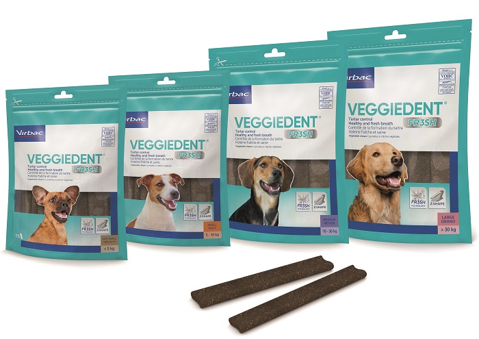 VEGGIEDENT FR3SH M 15 STICK - Farmacia Murachelli Di Putelli dr. Giovanni