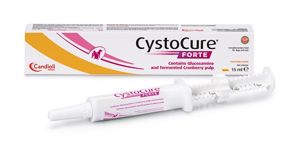 CYSTOCURE FORTE PASTA 15 ML - Farmacia Murachelli Di Putelli dr. Giovanni