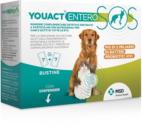 YOUACT ENTERO SOS 14 BUSTINE - Farmacia Murachelli Di Putelli dr. Giovanni