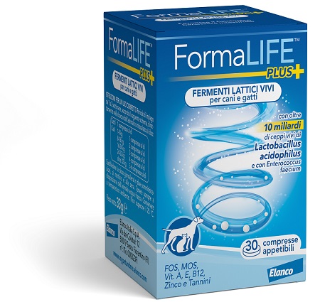 FORMALIFE PLUS FERMENTI LATTICI VIVI 30 COMPRESSE APPETIBILI - Farmacia Murachelli Di Putelli dr. Giovanni