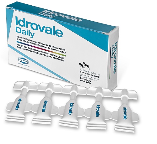 IDROVALE DAILY 10 FIALETTE DA 0,5 ML - Farmacia Murachelli Di Putelli dr. Giovanni