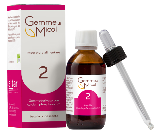 GEMME DI MICOL SOLUZIONE IDROGLICERALCOLICA 2 30 ML - Farmacia Murachelli Di Putelli dr. Giovanni