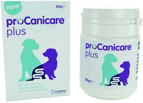 PROCANICARE PLUS 30 G - Farmacia Murachelli Di Putelli dr. Giovanni